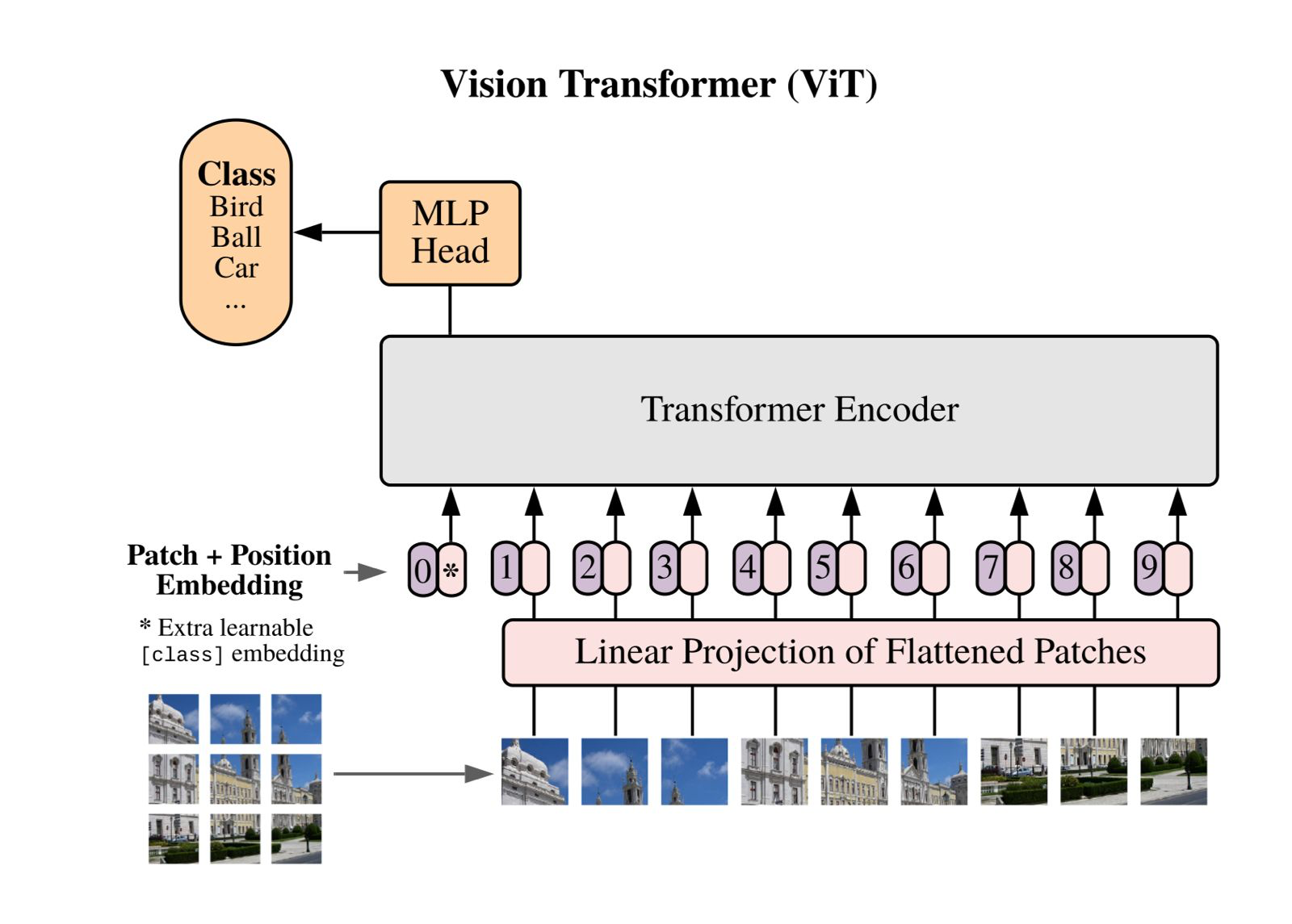 Vision Transformer From Scratch architecture diagram